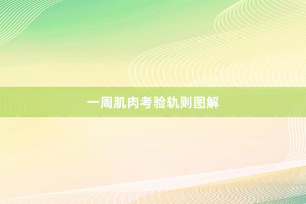 一周肌肉考验轨则图解